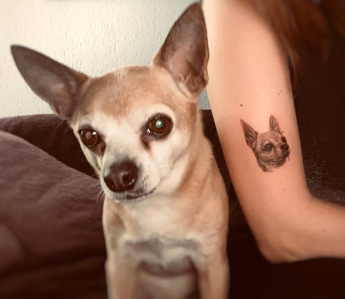 Chihuahua neben seinem Portrait-Tattoo