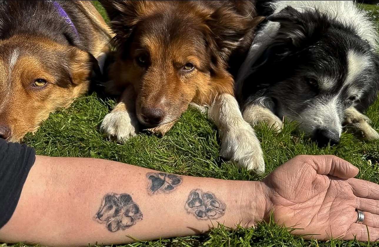 Drei Hunde und drei Pfotenabdruck-Tattoos auf dem Unterarm