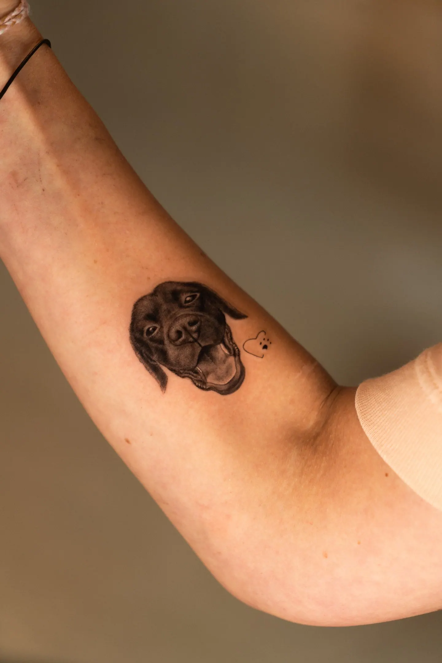 Schokolade Labrador Hundeportrait Tattoo