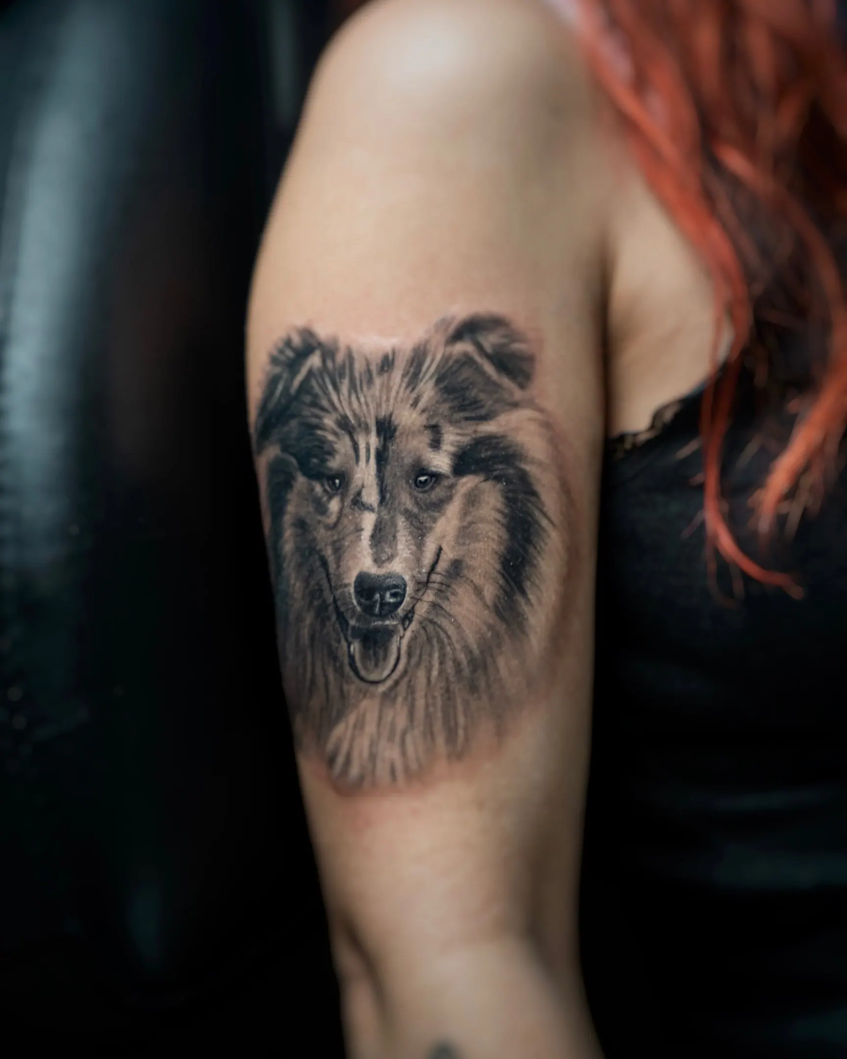 Collie Hundeportrait Tattoo realistisch