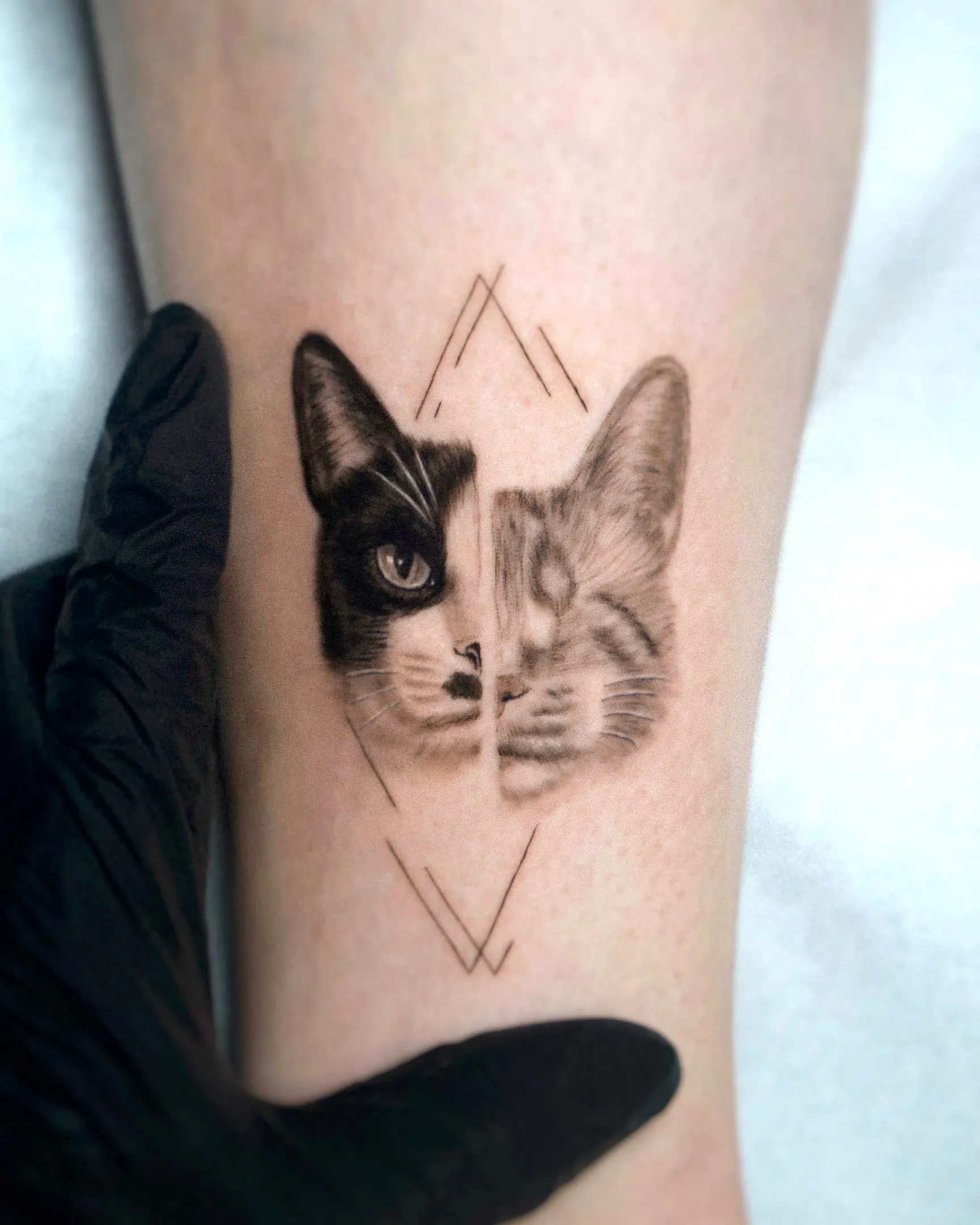 Realistisches Katzenportrait Tattoo Split-Face Schwarz und Tabby