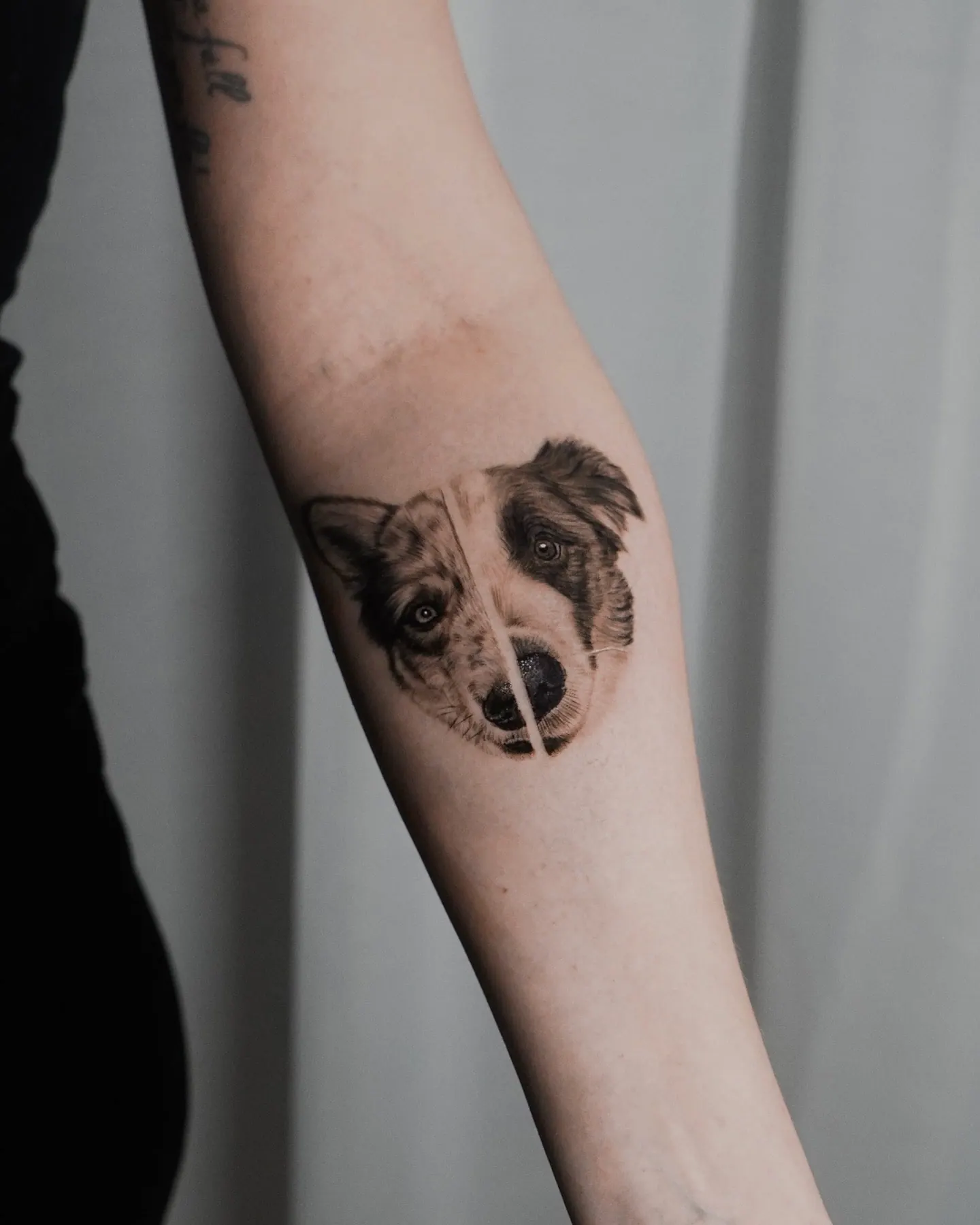 Australian Shepherd Split-Face Hundeportrait Tattoo