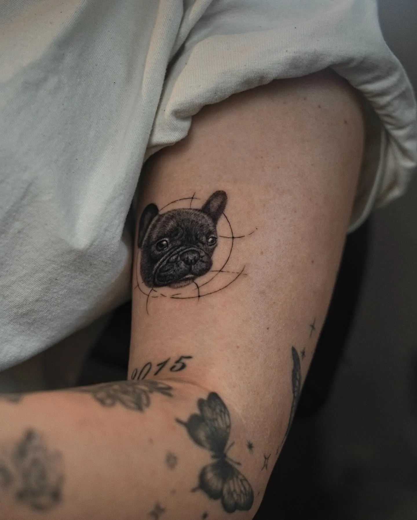 Französische Bulldogge mit geometrischen Skizzenlinien