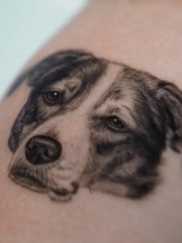 Mittelgrosses realistisches Hundeportrait Tattoo Microrealism
