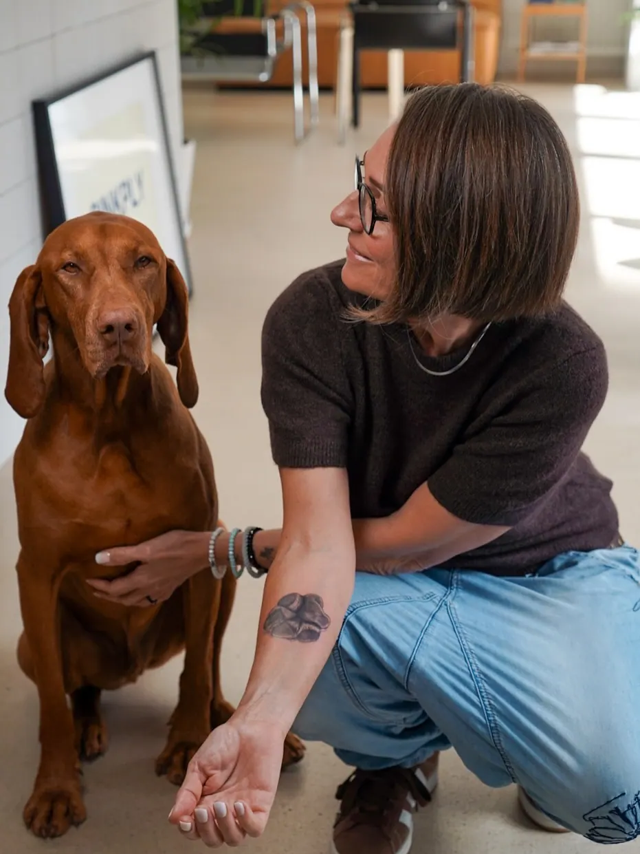 Hundetattoos in Zürich