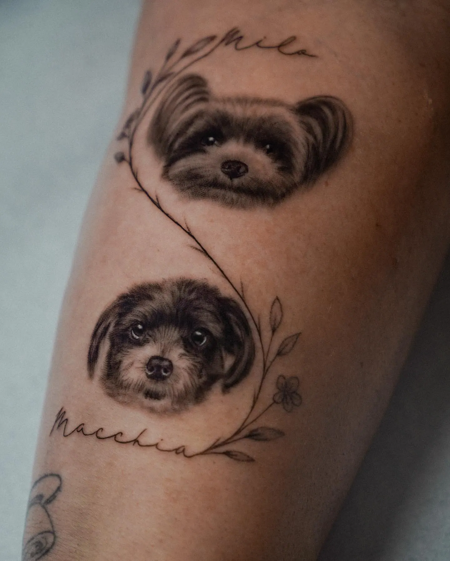Matching Hundeportrait Tattoos botanisch verbunden