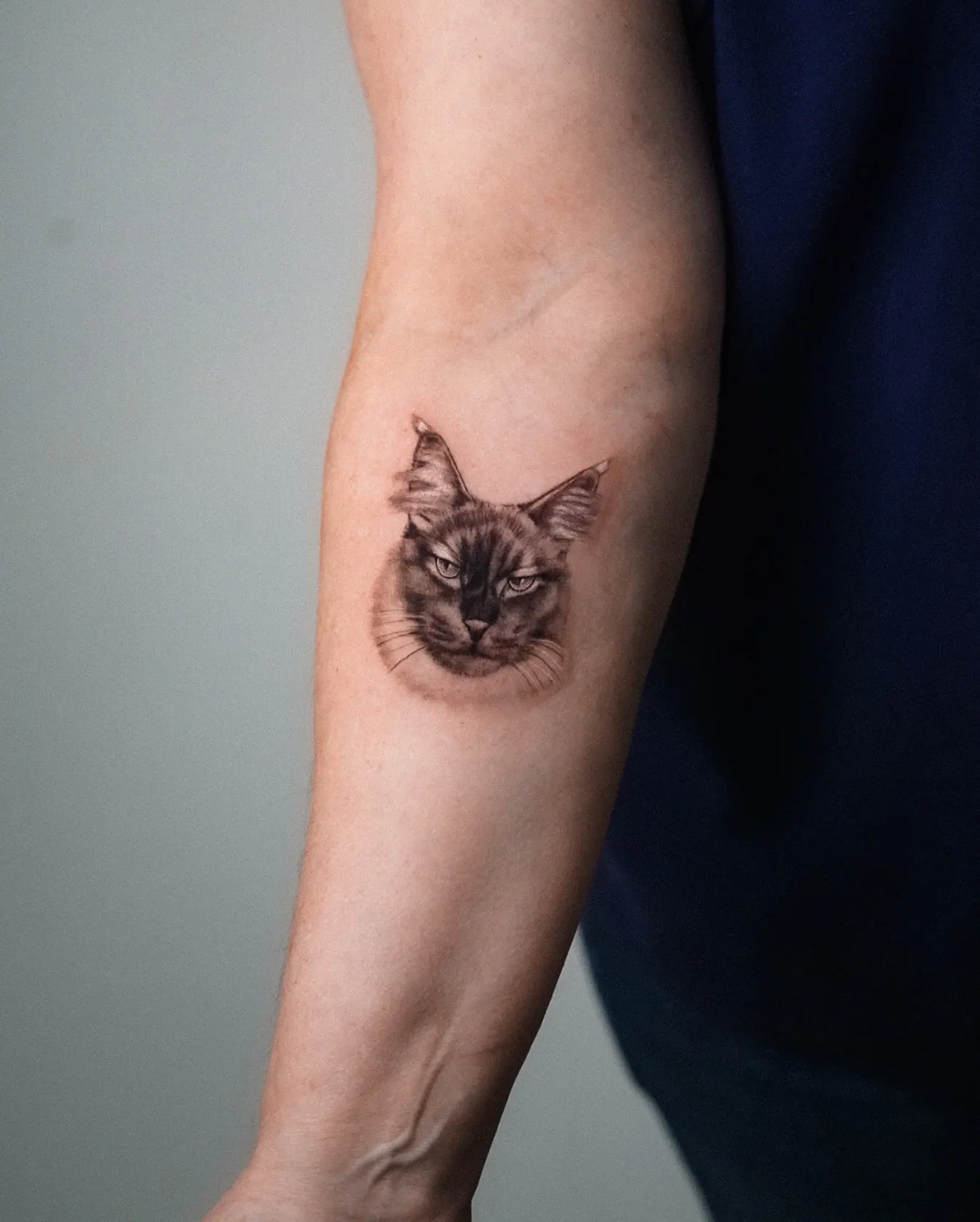 Maine Coon Katze medium Microrealism