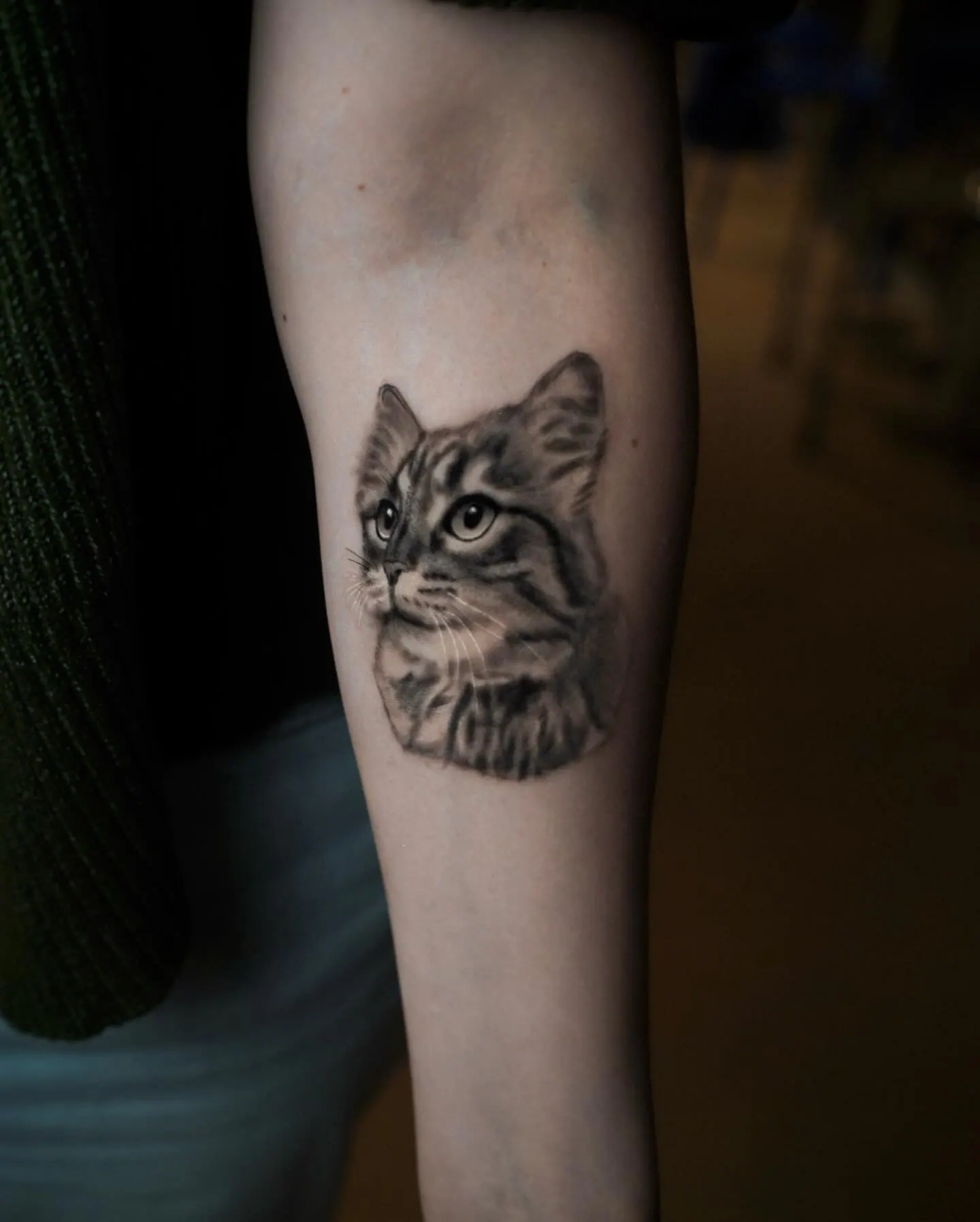 Realistisches Katzenportrait als Erinnerungs-Tattoo