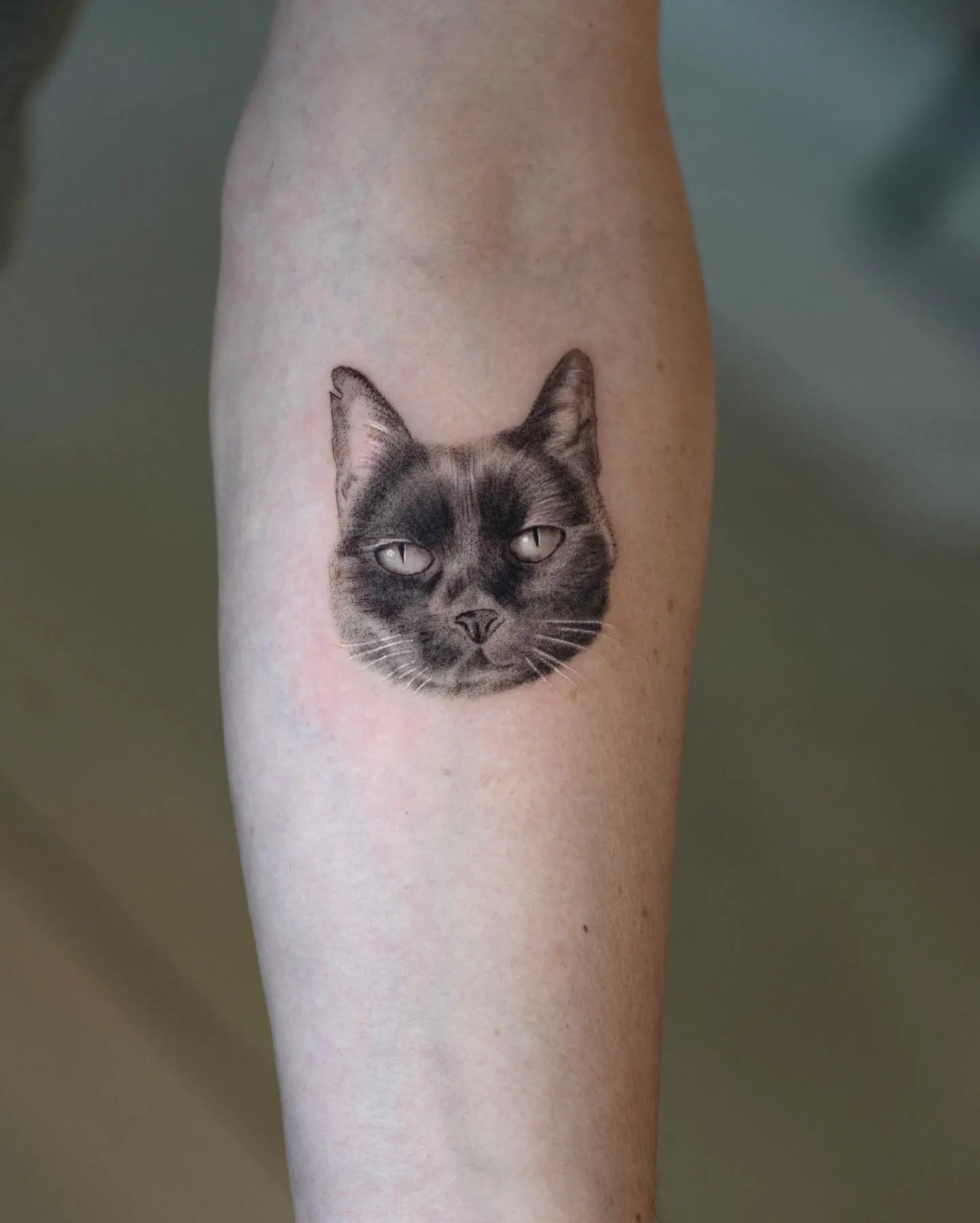 Schwarze Katze realistisch Portrait Tattoo