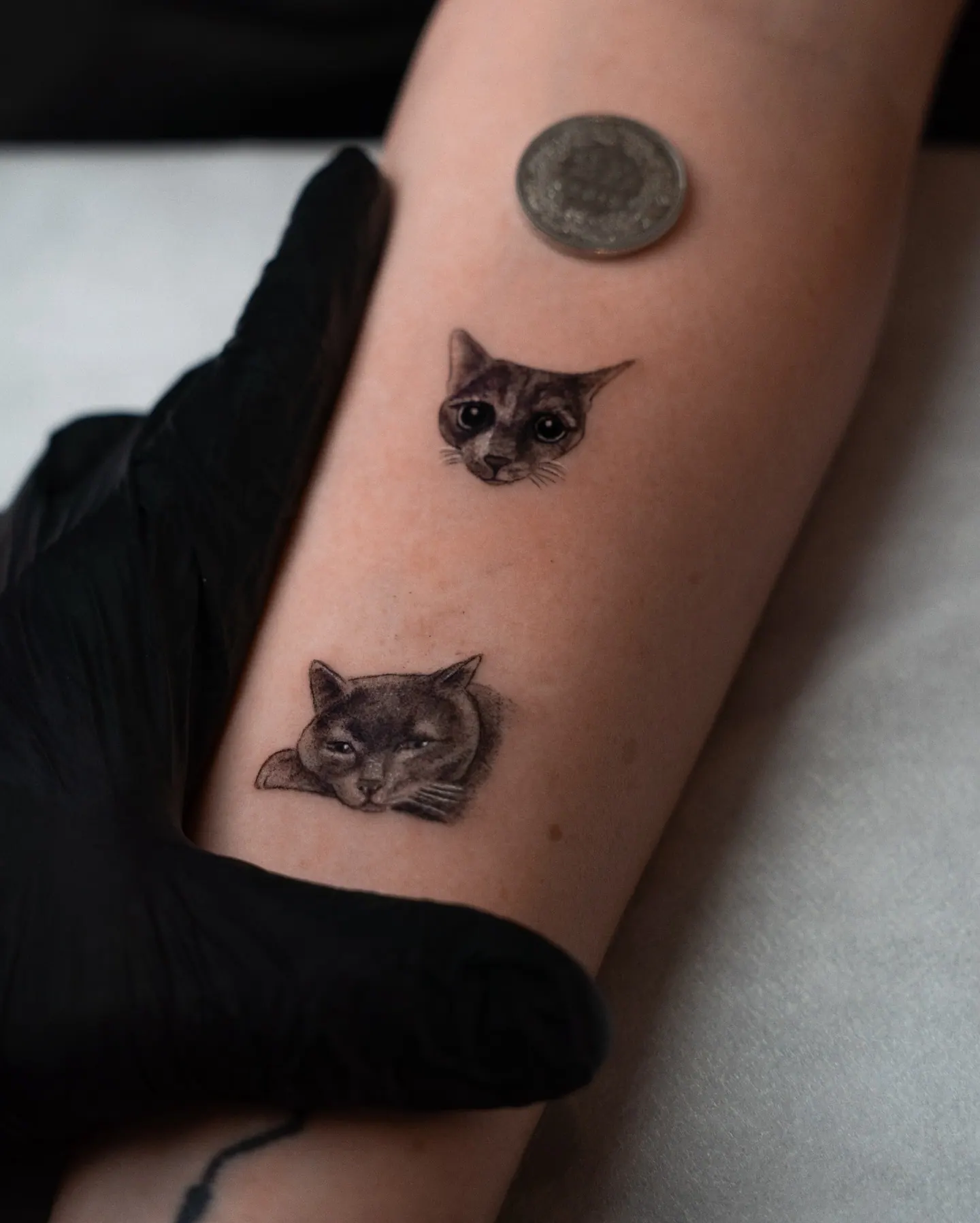 Zwei Mini Katzentattoos mit Schweizer Münze als Grössenvergleich