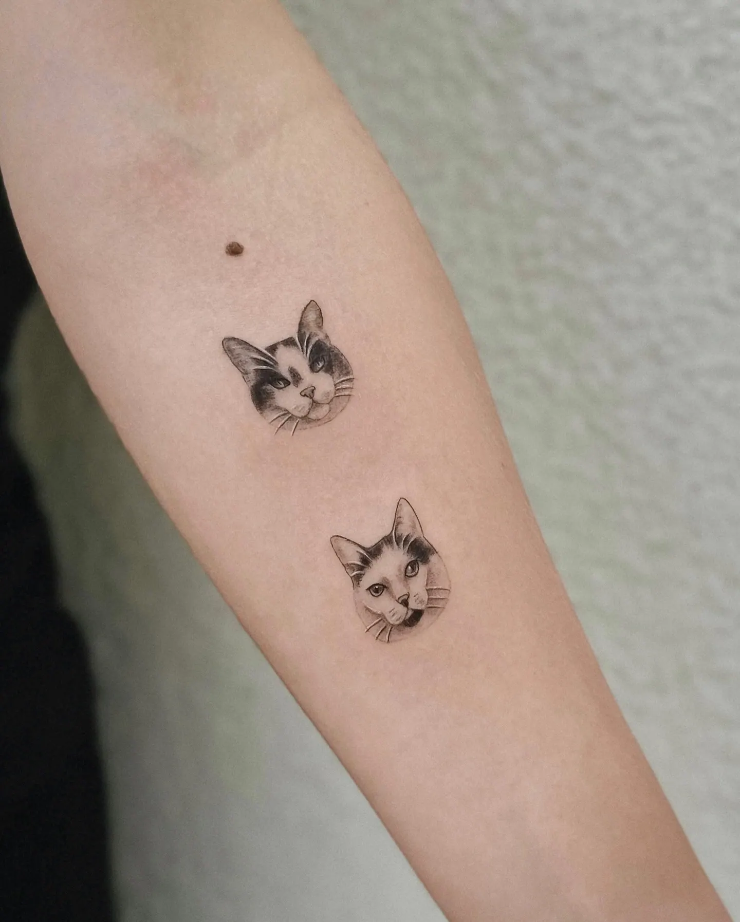 Zwei super kleine Katzentattoos minimalistisch