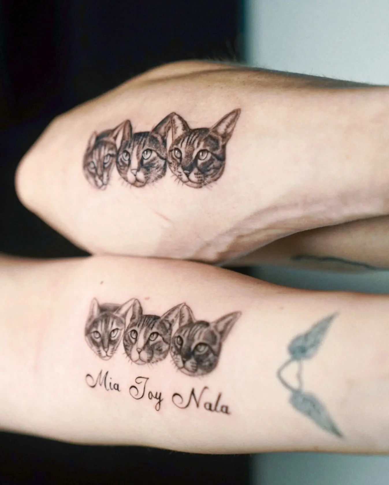 Drei Katzen Matching Tattoo mit Namen