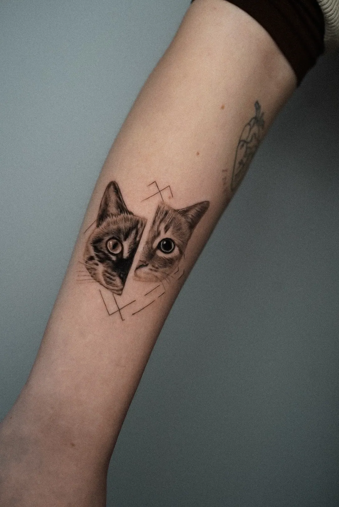 Zwei Katzen Half-Face Komposition Tattoo