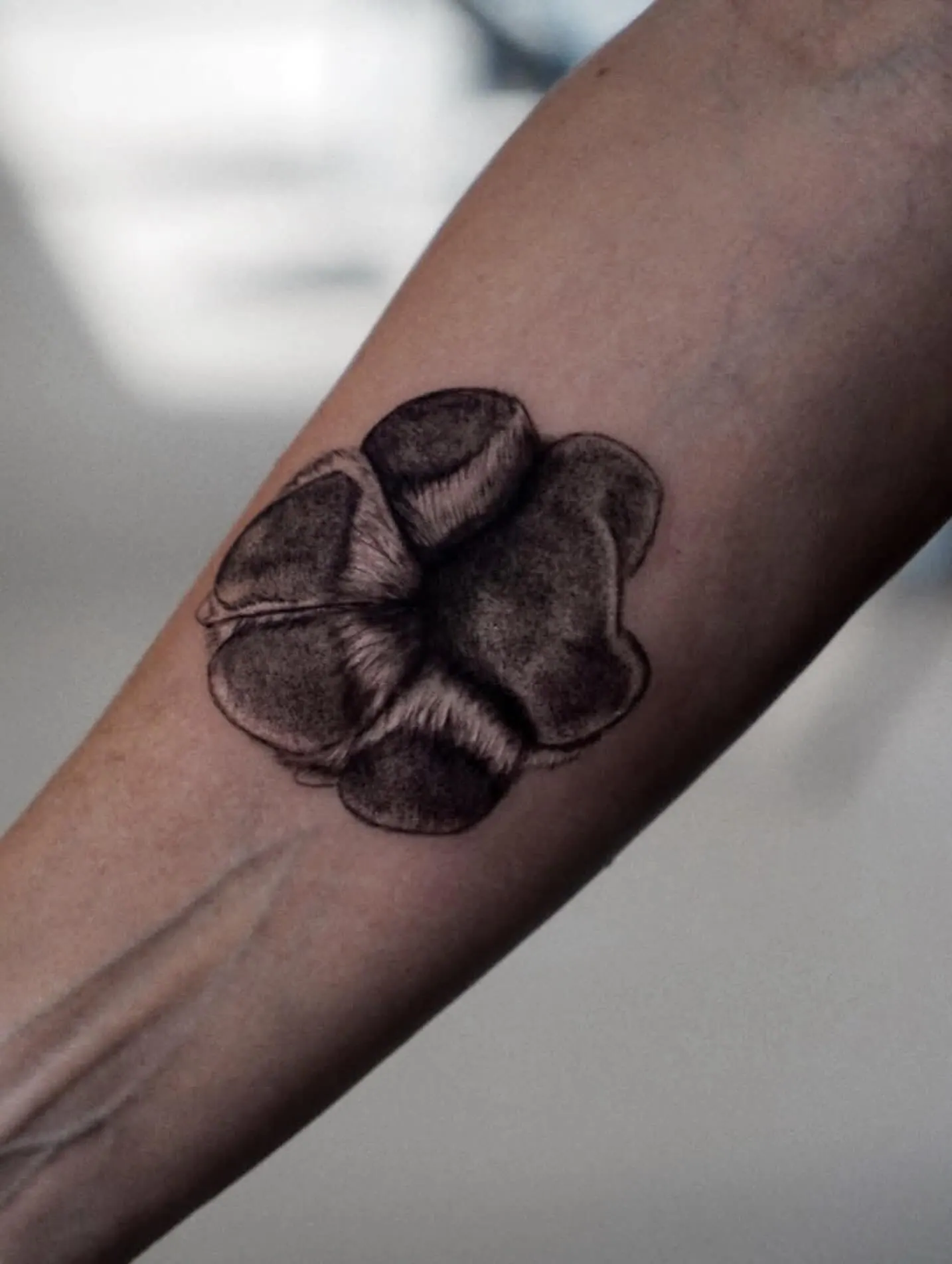 Detaillierter Pfotenabdruck Tattoo Top-View