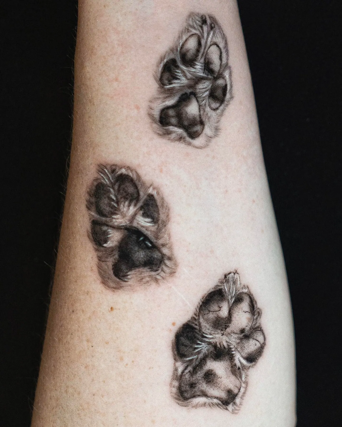 Three realistic paw print tattoos arm composition