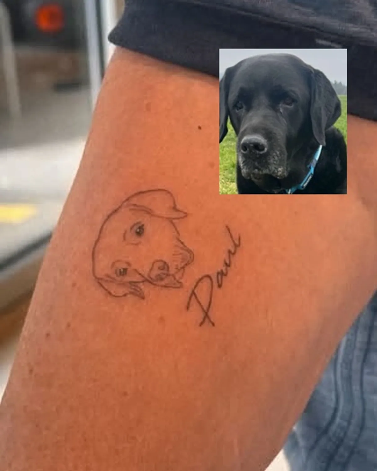 Fine line dog portrait tattoo with the name 'Paul' on forearm, approx. 2 cm, Microrealism Zürich
