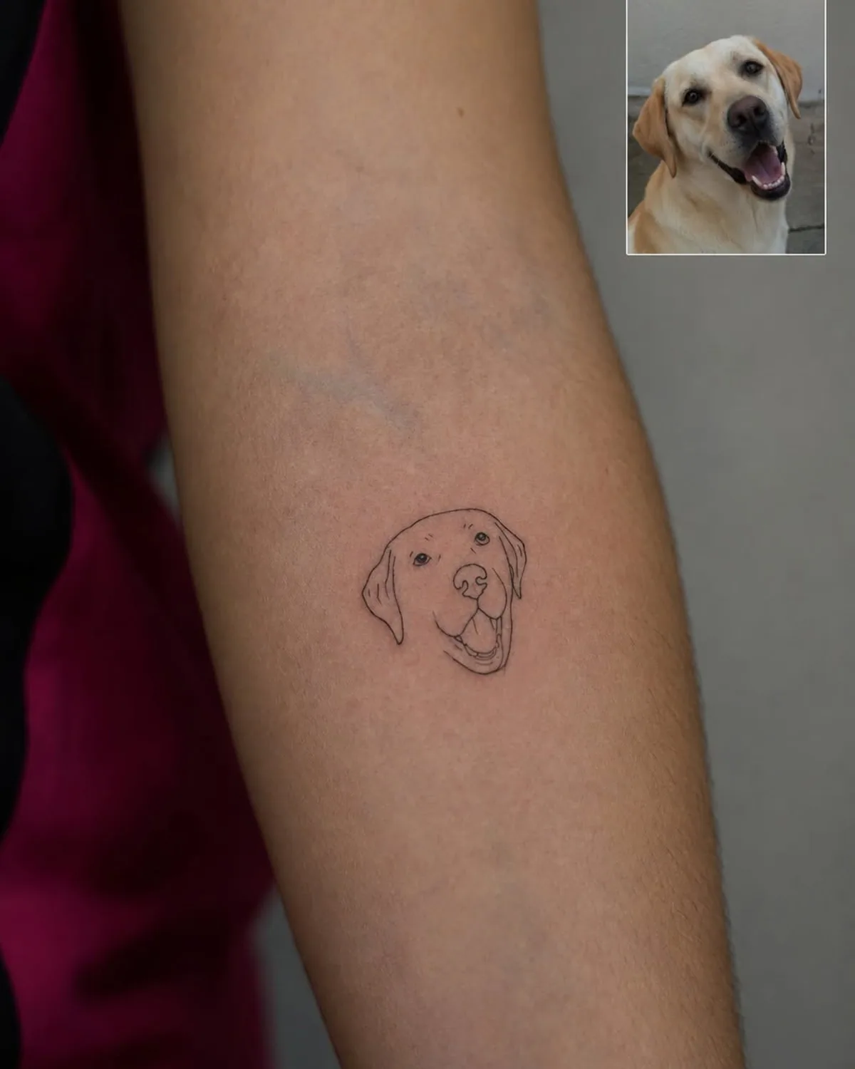 Fine line Labrador tattoo on forearm, approx. 2 cm, Microrealism Zürich
