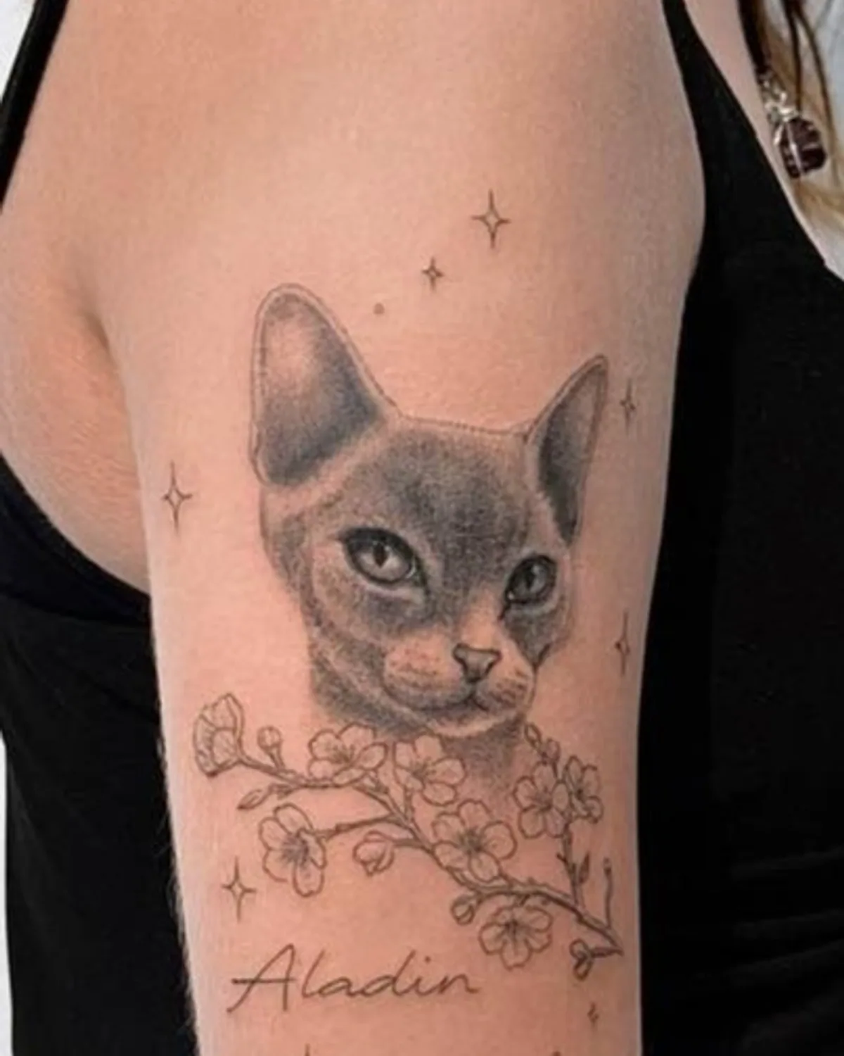 Large memorial cat portrait tattoo with the name 'Aladin' and cherry blossoms on upper arm, Microrealism Zürich