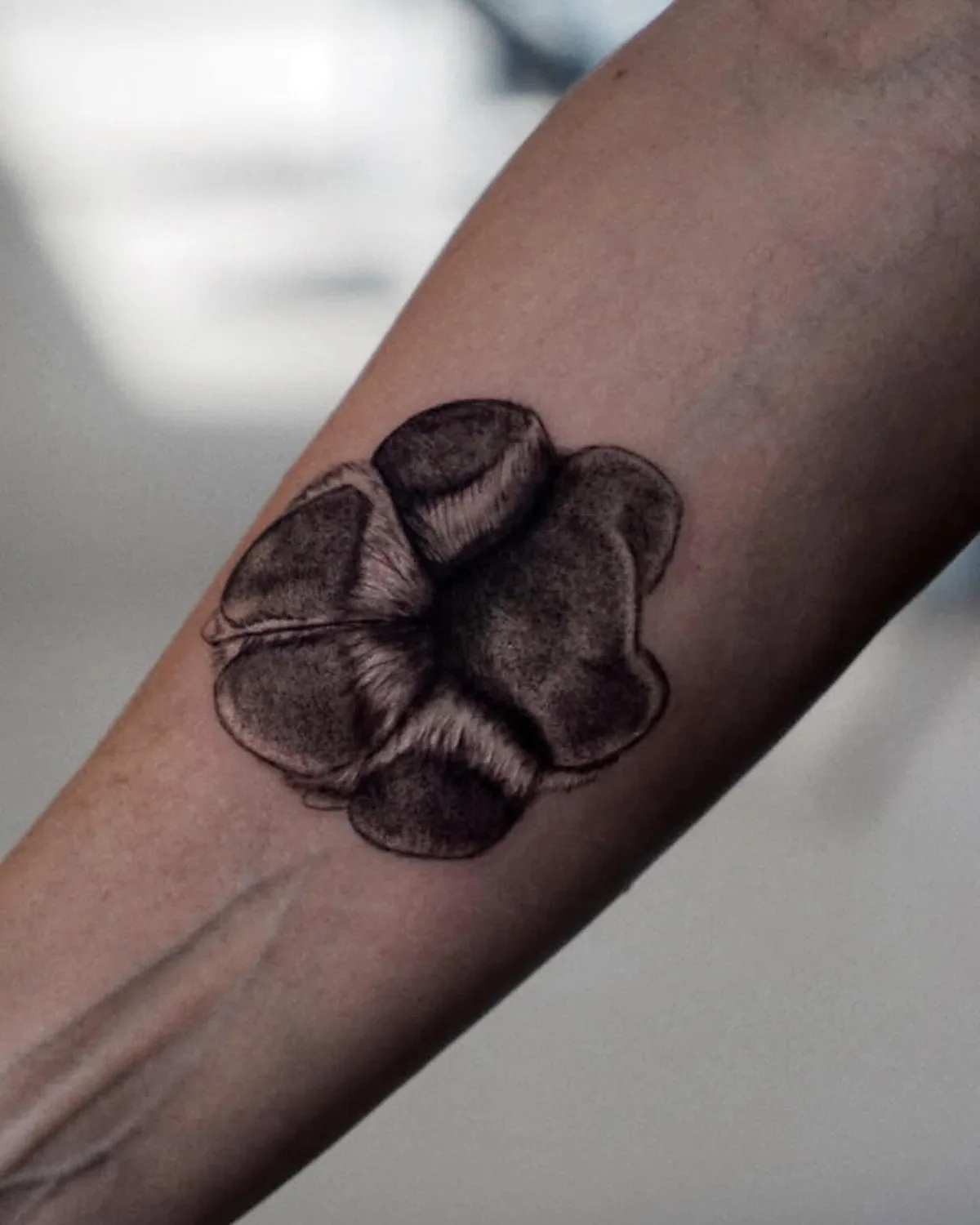 Large realistic paw tattoo, 5–6 cm, Microrealism Zürich
